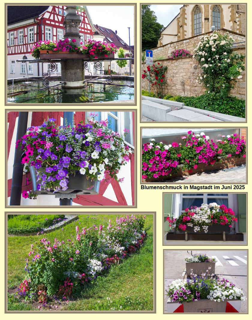 Blumenschmuck 2025