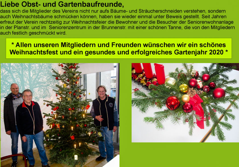 Christbaumstellen 2019