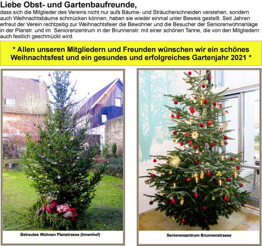 Christbaumstellen 2020