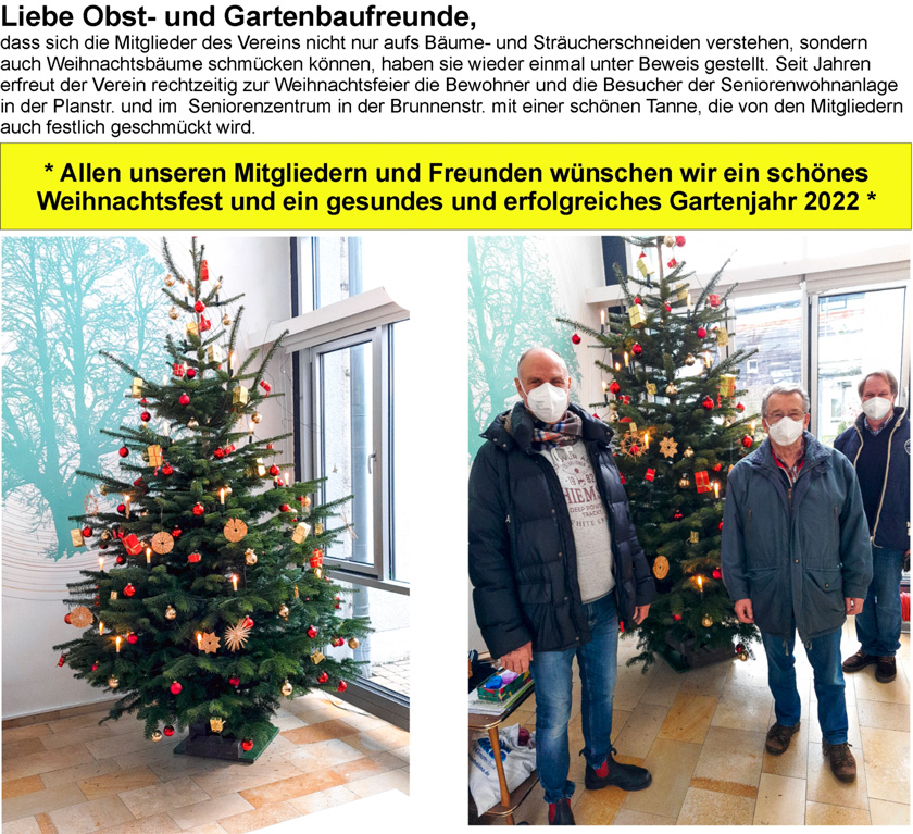 Christbaumstellen 2021