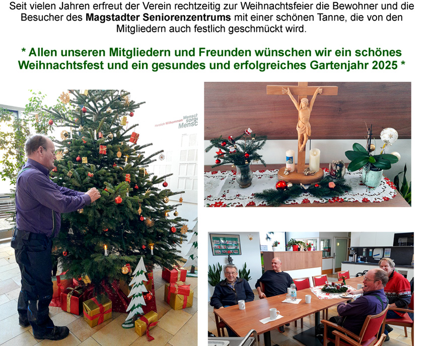 Christbaumstellen 2024