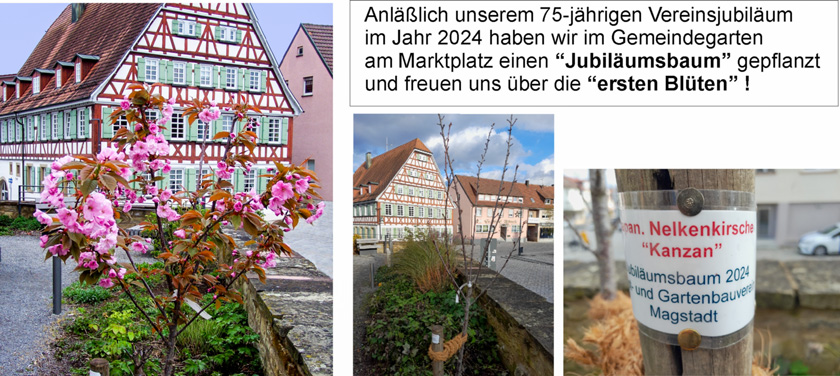 Jubiläumsbaum 2024