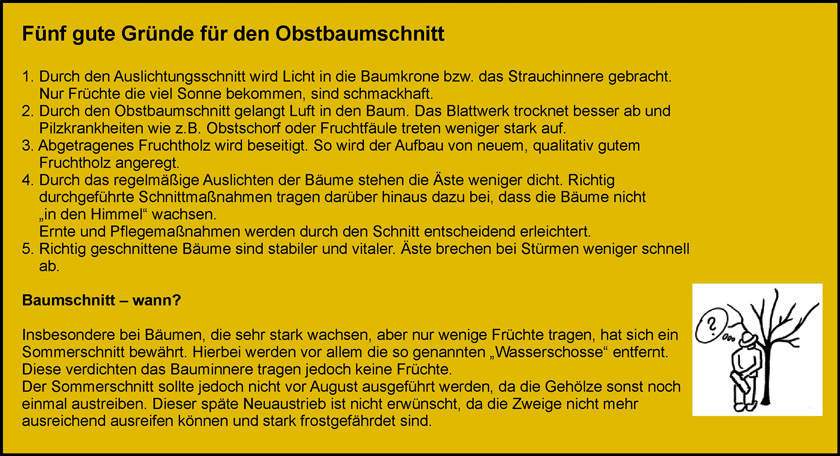 Obstbaumschnitt