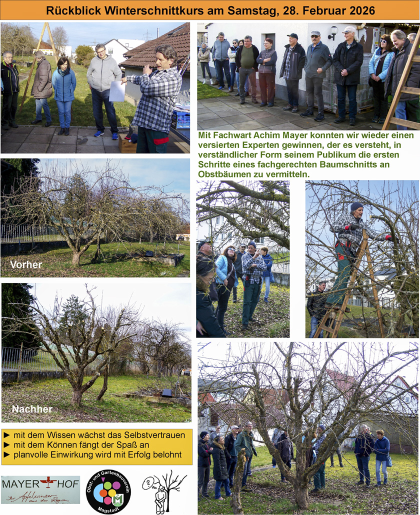 Winterschnittkurs 2026