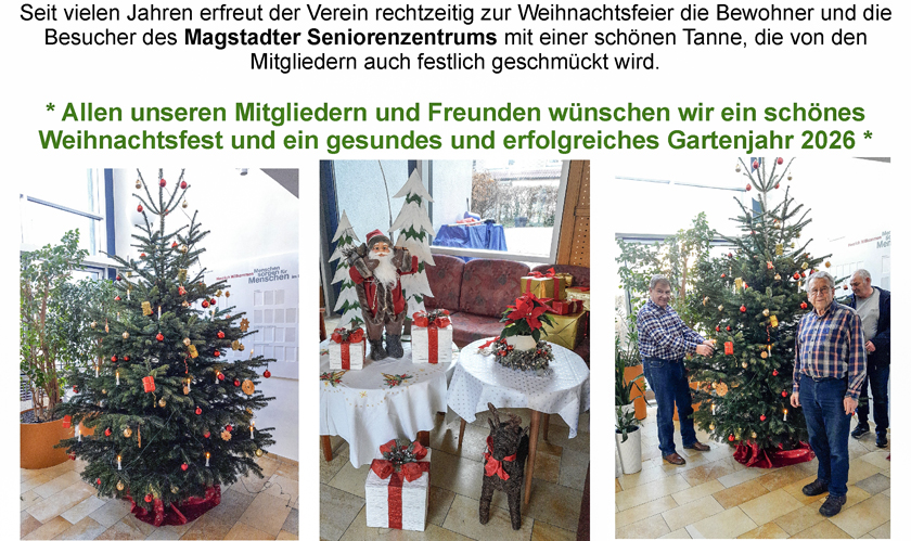 Weihnachtsbaum 2025
