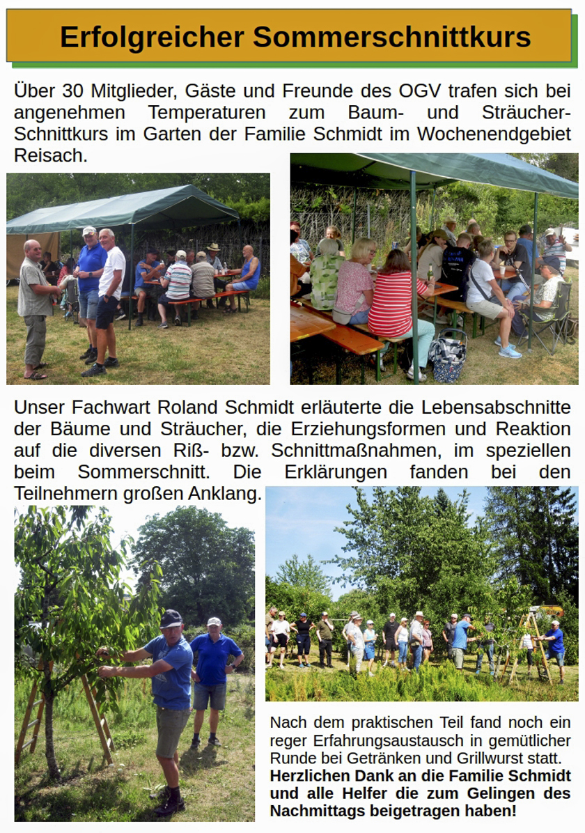 Sommerschnittkurs 2026